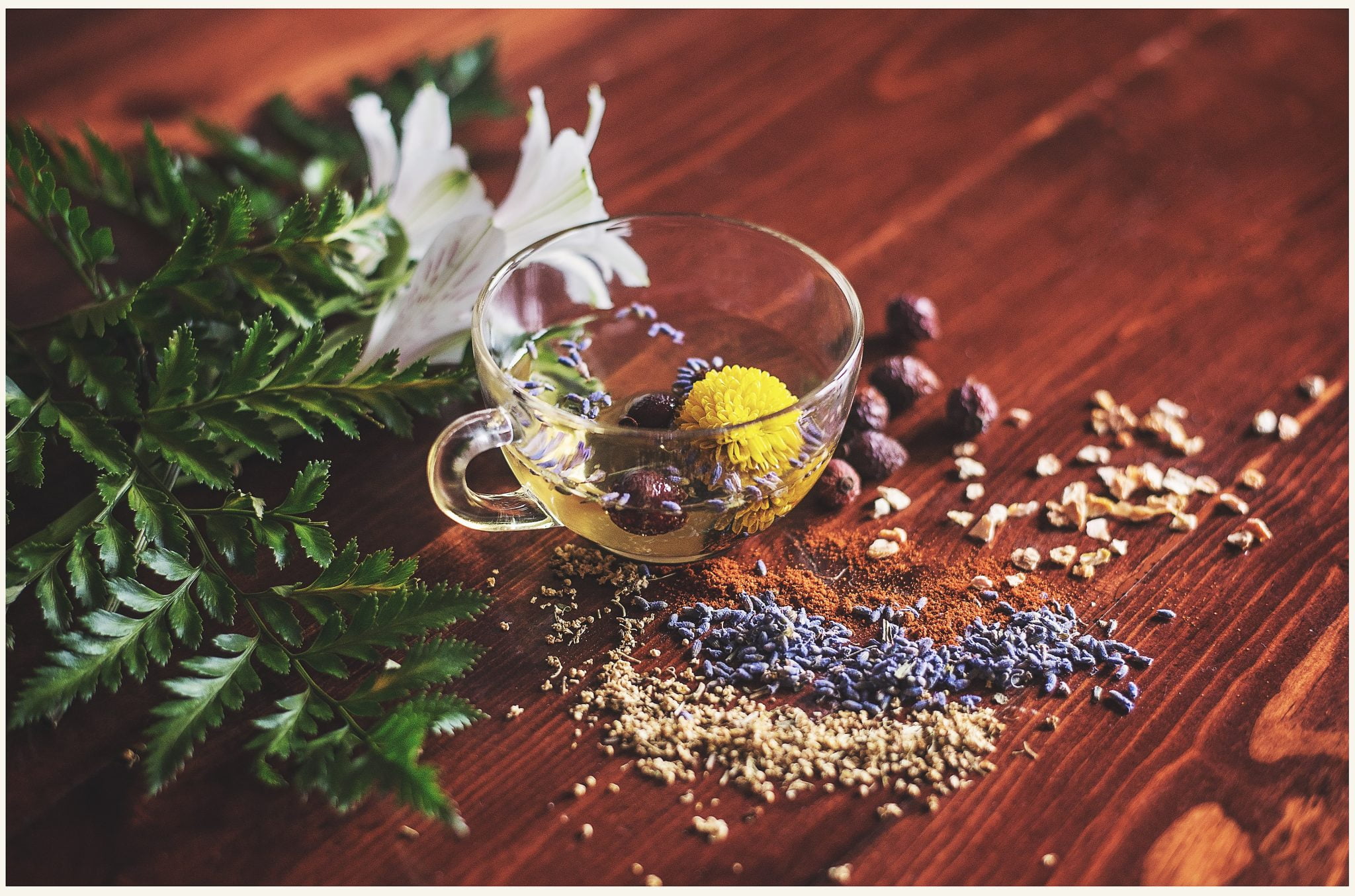 What is the function of dietary fiber? Health benefits