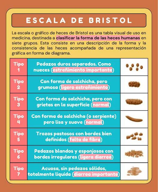 Escala De Heces De Bristol